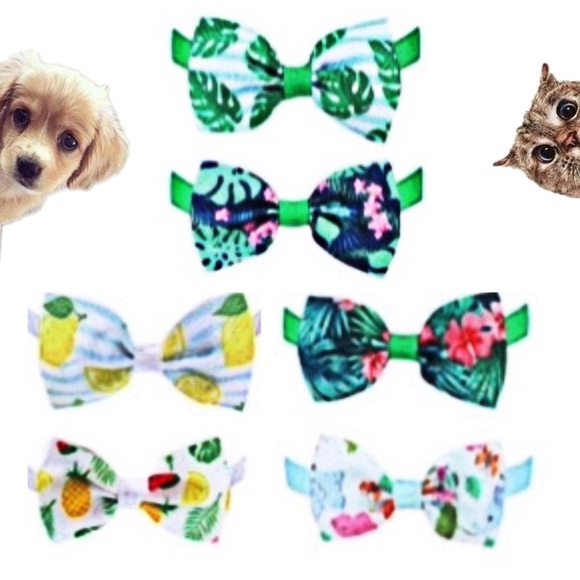 6 Colorful Pet Bow Ties With Collar - Picture 1 of 3